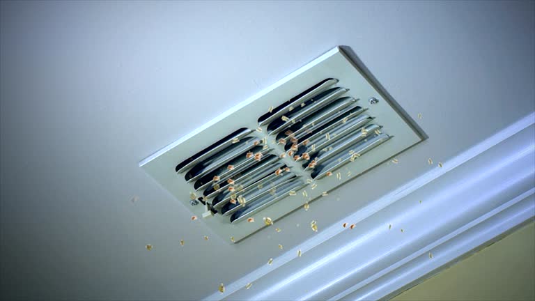 Best Affordable Duct Cleaning Services  in Auburn, GA